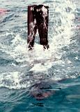 Fase de Agua024